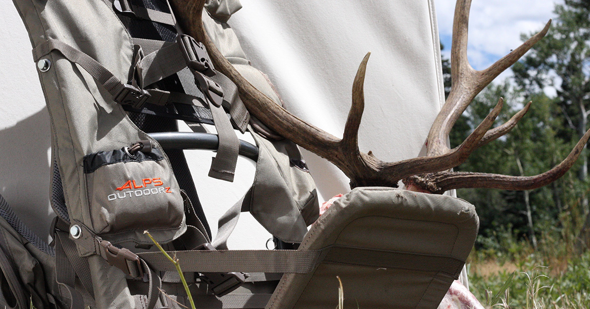 Leftover Montana Elk Tags = Hunt of a Lifetime! Hunt Daily