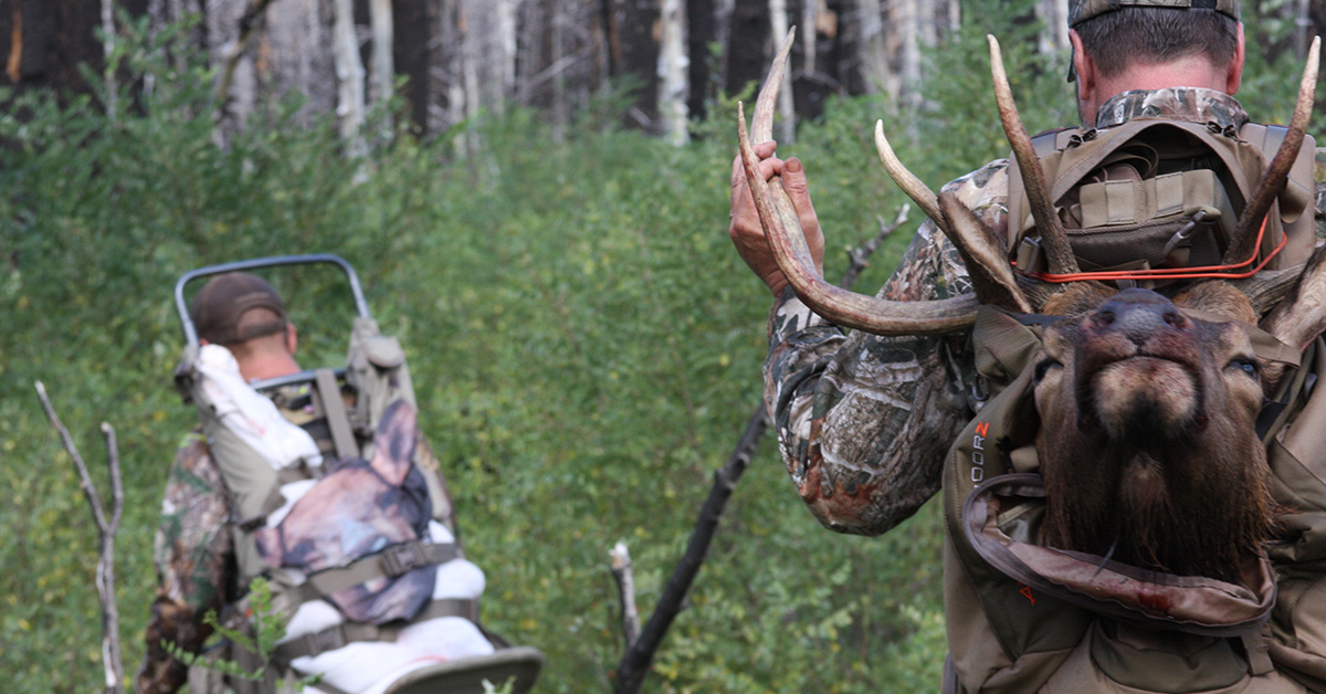 How Much Does A Montana Elk Tag Cost at Rickey Szymanski blog